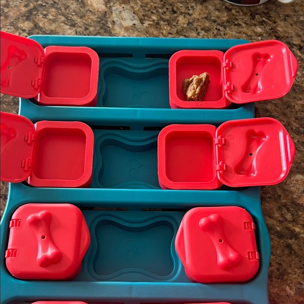 Teal and Red Dog Feeder with Storage Compartments